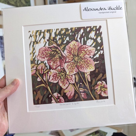 Hellebore Light