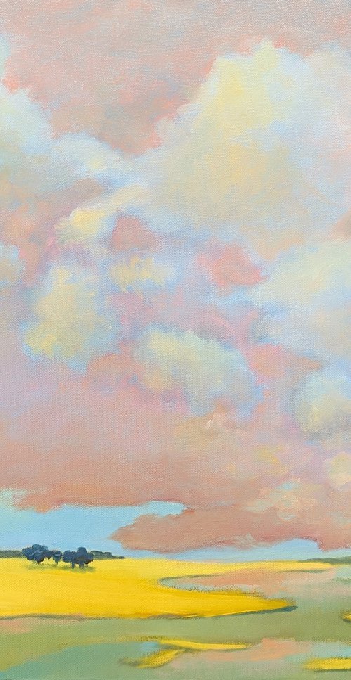 Bluming Fields in May. by Veta Barker