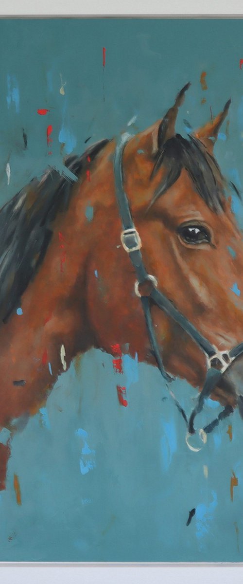 Horse by Shaun Burgess