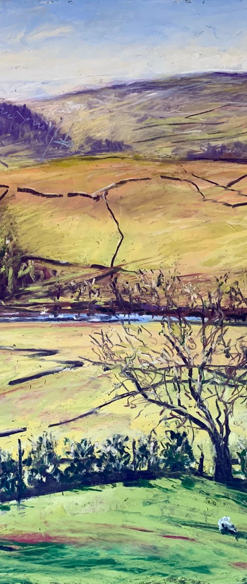 The Dales Above Appletreewick by Andrew Moodie