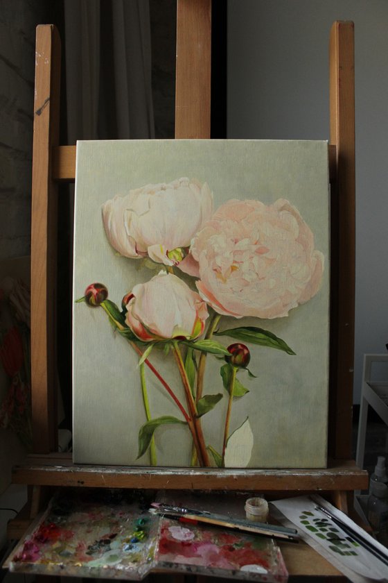 Peonies