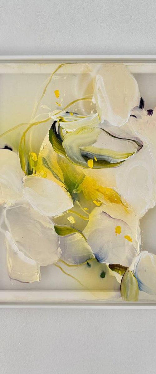 Morning Bloom by Anna Maiko