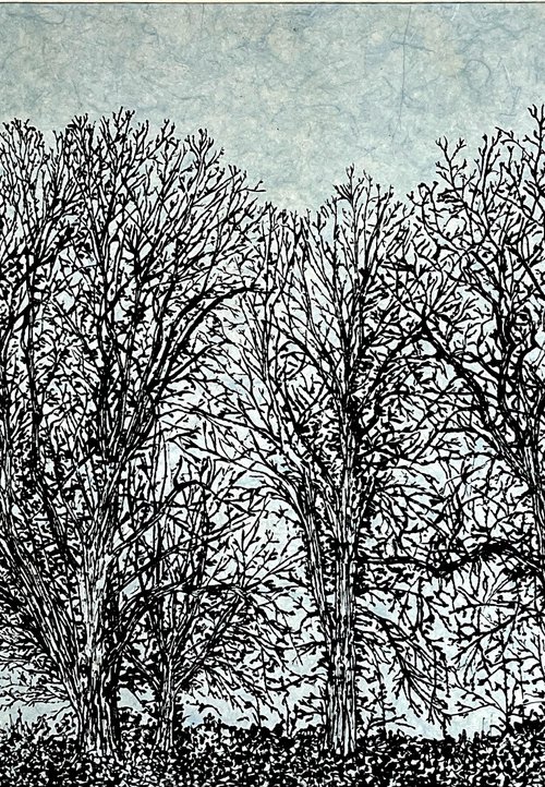 All They See by Michelle Hinshelwood