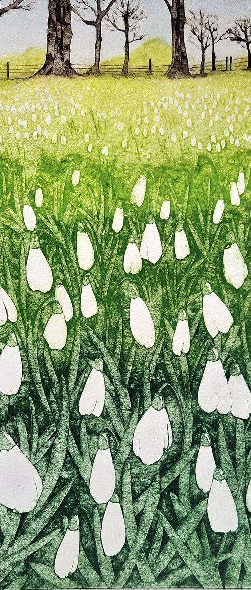 First Sign of Spring by Jo Biggadike