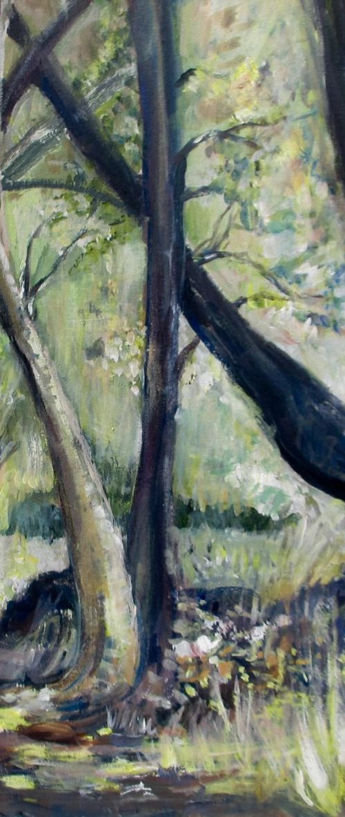 Greek afternoon by Maggie Pinches