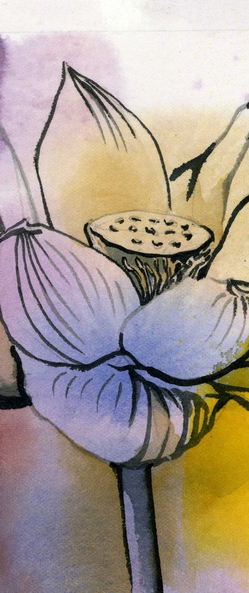 lotus in yellow by Alfred Ng