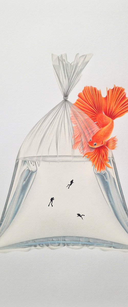Fish Out Of Water: 1 by Daniel Shipton
