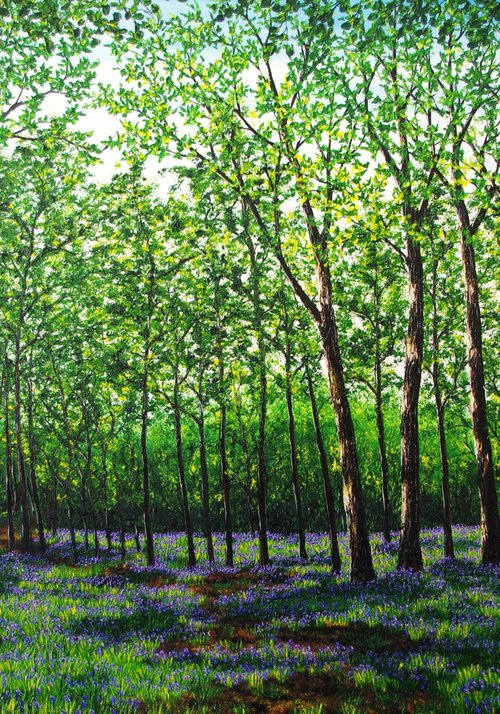 A Glorious Springtime. by Hazel Thomson