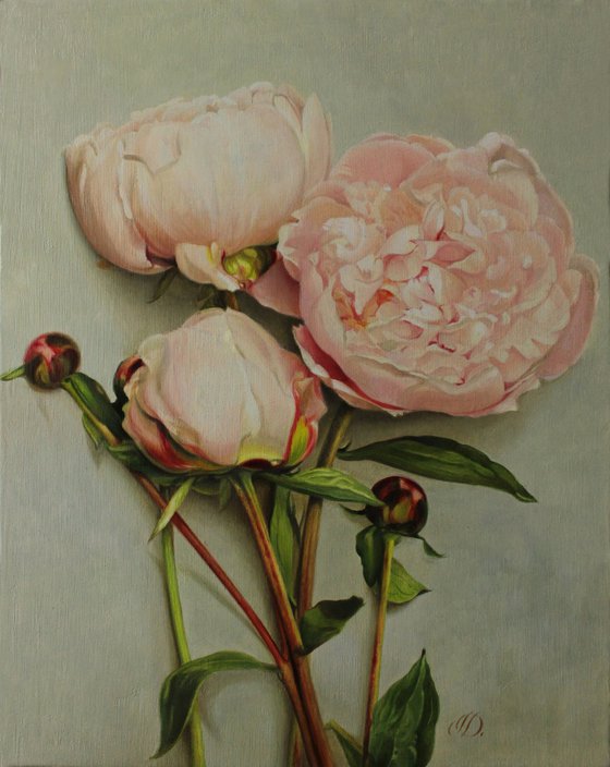 Peonies