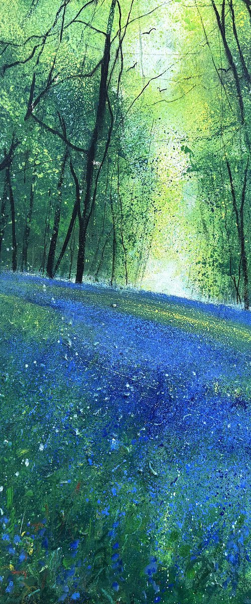 Woodland Bluebell View by Teresa Tanner