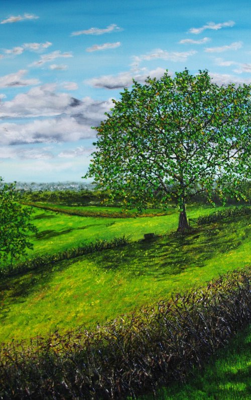 Spring morning walk by Hazel Thomson