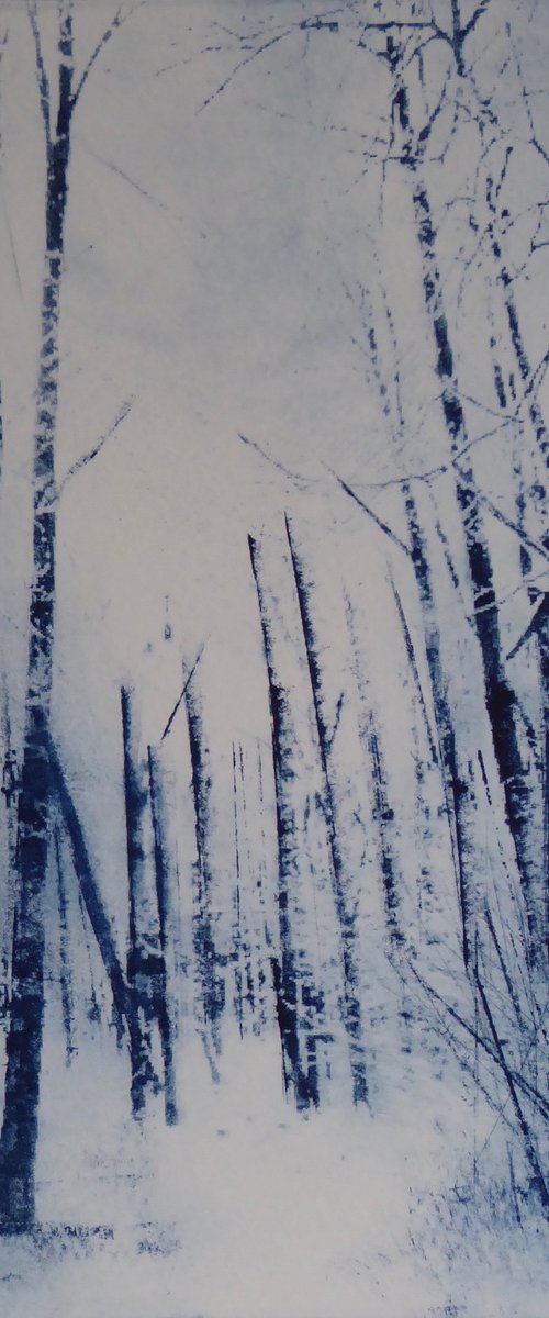 Winter Woods by Sue Roe