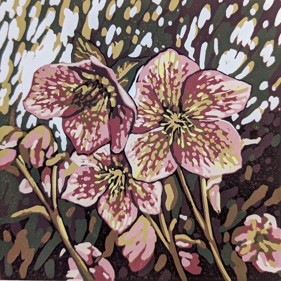 Hellebore Light