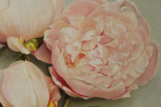 Peonies