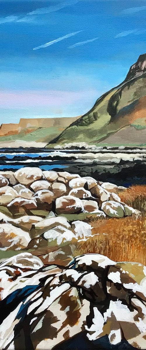 Lichen Covered Rocks on Beach by Joseph Lynch