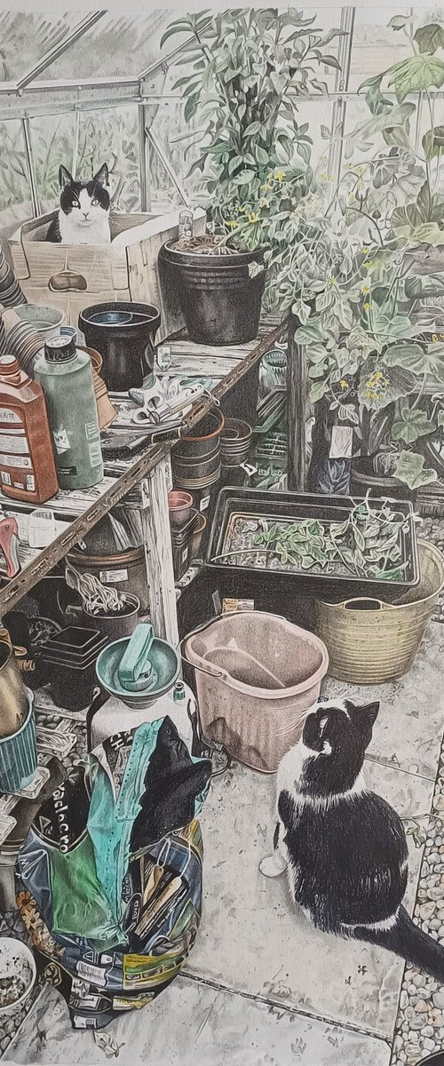 Chillies, Cucumbers, Tomatoes and Cats by Joanne Hill