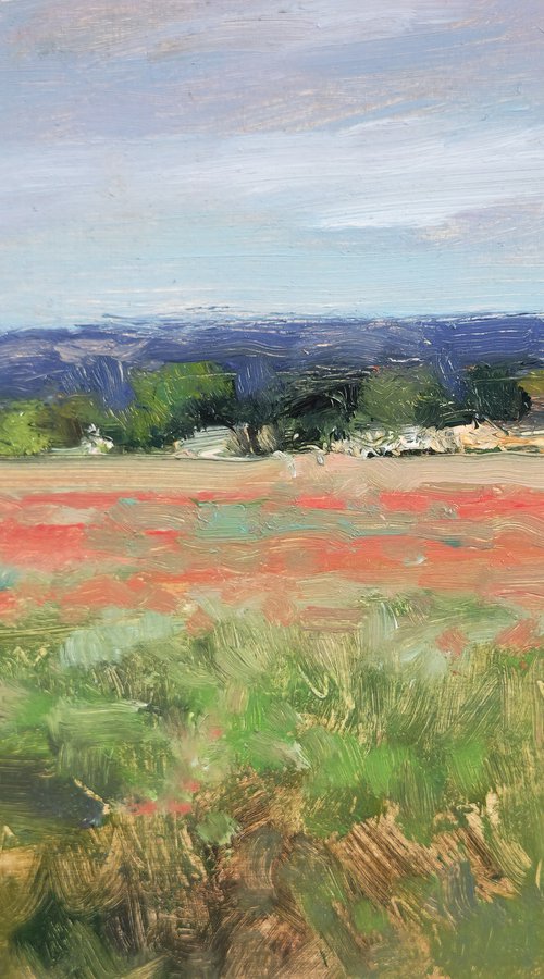 Poppy Fields in the Luberon by Pascal Giroud
