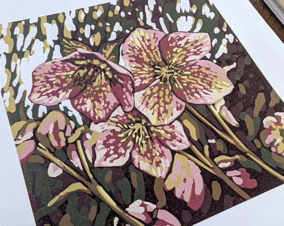 Hellebore Light