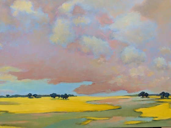 Bluming Fields in May.