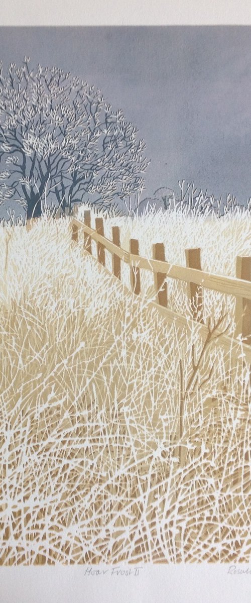 Hoar Frost II by Rosalind Forster